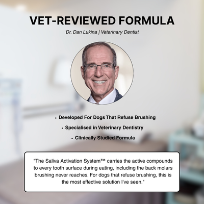 BrightBite™ Dental Powder