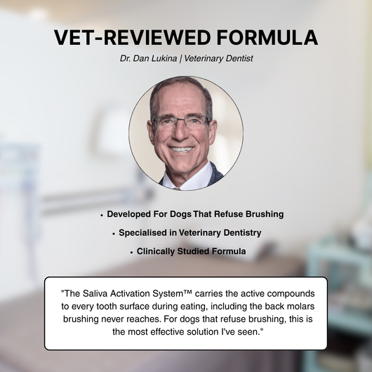 BrightBite™ Dental Powder