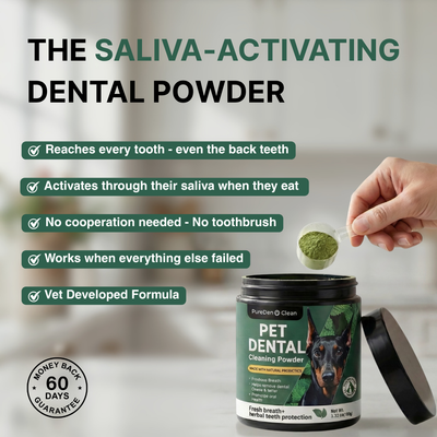BrightBite™ Dental Powder
