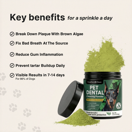 BrightBite™ Dental Powder